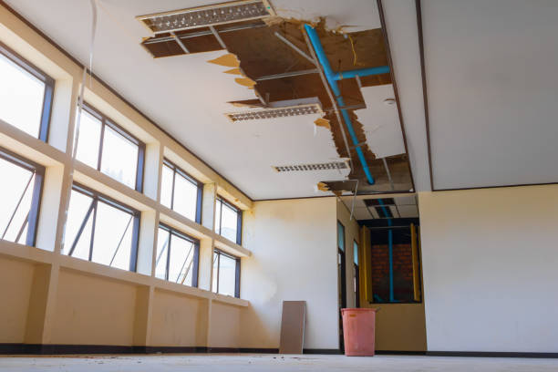 Best Carpet water damage restoration  in Sewell, NJ
