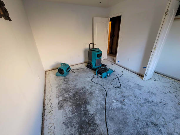 Best Water damage contractors near me  in Sewell, NJ
