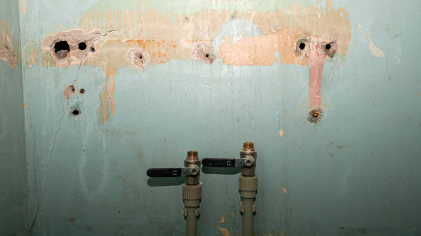 Best Professional water damage repair  in Sewell, NJ