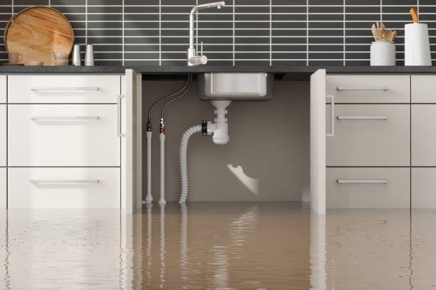 Best Ceiling water damage repair  in Sewell, NJ