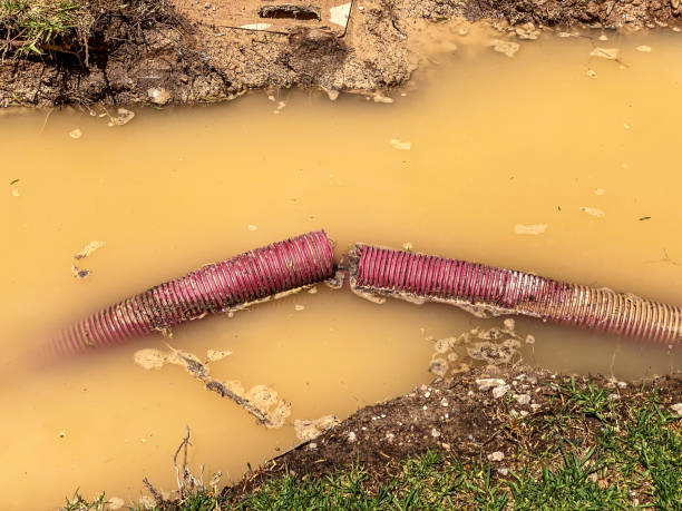 Best Flood restoration services  in Sewell, NJ